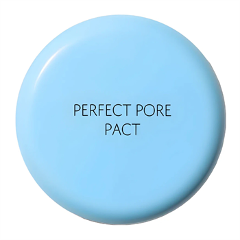 The Saem Пудра компактная для кожи с расширенными порами Saemmul Perfect Pore Pact 12г 10263 - фото 803