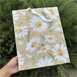 Пакет подарочный 26*30*10см 10805