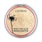 Хайлайтер для лица `CATRICE` MORE THAN GLOW HIGHLIGHTER тон 010 ultimate platinum glaze 10536
