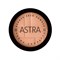 ASTRA Бронзер для лица Bronze skin powder, 22 сомо, 9 г 10045 - фото 254
